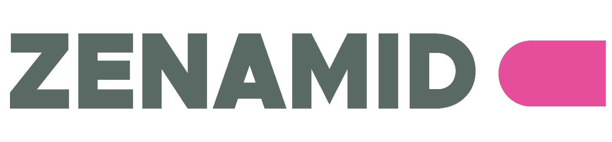 Logotyp Zenamid w kolorze Pantone